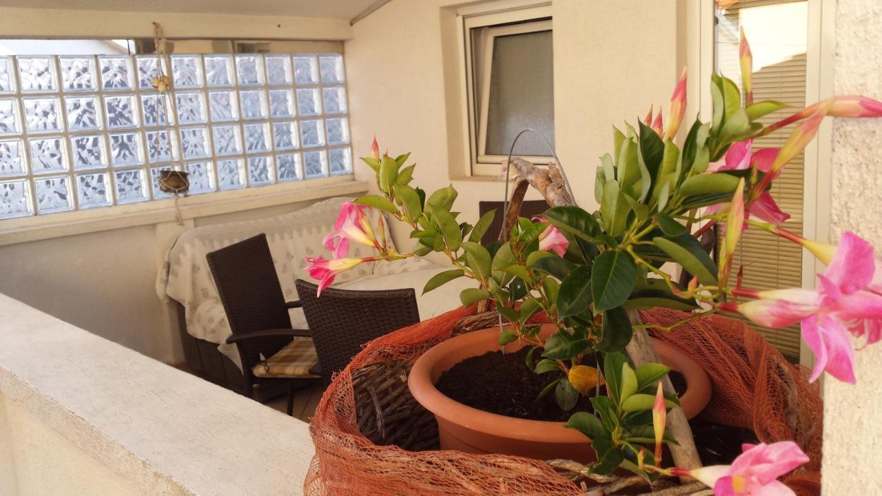 Apartments Sanda Tribunj Трибунь Номер фото